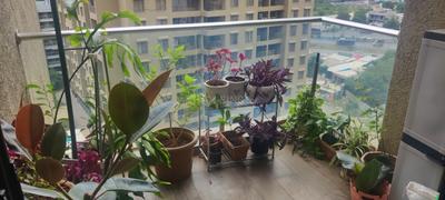 Balcony Image of 831 Sq.ft 2 BHK Apartment / Flat for sale in Runal Gateway, Ravet Pune for Rs. 11000000