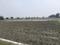 Metro Green City Plot View 2