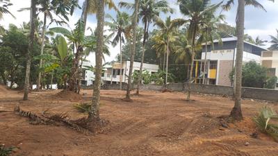 Chenkottukonam Plot View 3