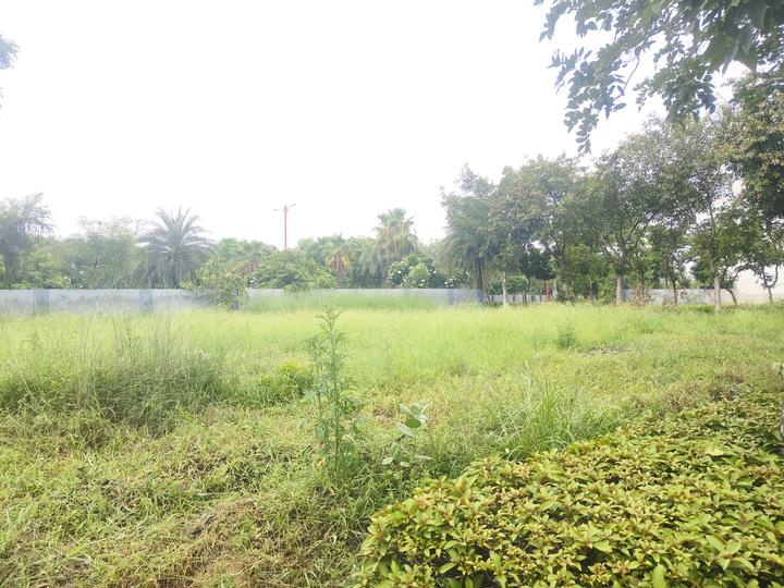 Farukh Nagar Main Image 1
