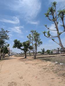 Image of 900 Sq.ft Residential Plot / Land for sale in Jaisinghpura, Jaipur for Rs. 4800000