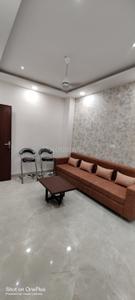 Hall Image of 500 Sq.ft 1 BHK Builder Floor for rent in Scheme No 114 Indore for Rs. 23000