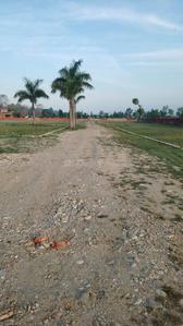 Image of 1800 Sq.ft Residential Plot / Land for sale in Dharmawala, Dehradun for Rs. 3100000