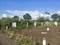 Wagholi Plot View 2