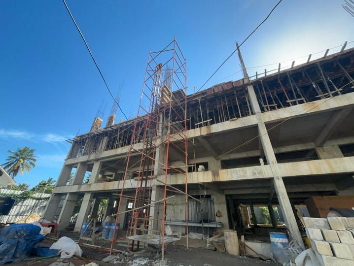 Condor Dahlia Main Image 1