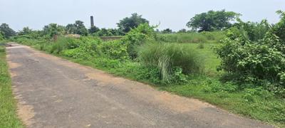 Girmint More Plot View 2