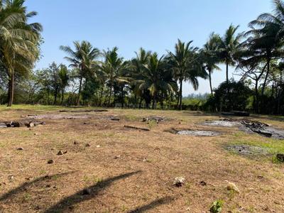 Image of 11000 Sq.ft Residential Plot / Land for sale in Nagaon, Alibag for Rs. 13200000