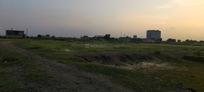 nill Plot View 2