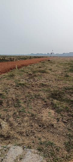 Jamukoli Main Image 1
