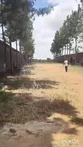 Image of 53240 Sq.ft Residential Plot / Land for sale in Aroodi, Bengaluru for Rs. 120000000
