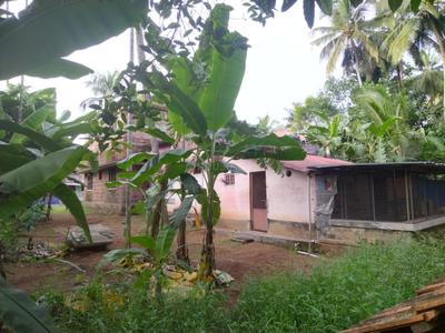 Image of 2000 Sq.ft 3 BHK Independent House for sale in Kunnamkulam, Thrissur for Rs. 7800000