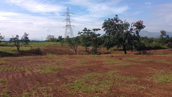 Riverine Main Image 1