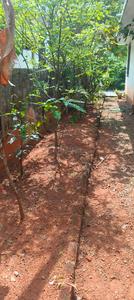 Image of 1709 Sq.ft 3 BHK Independent House for sale in Adimali, Idukki for Rs. 8500000