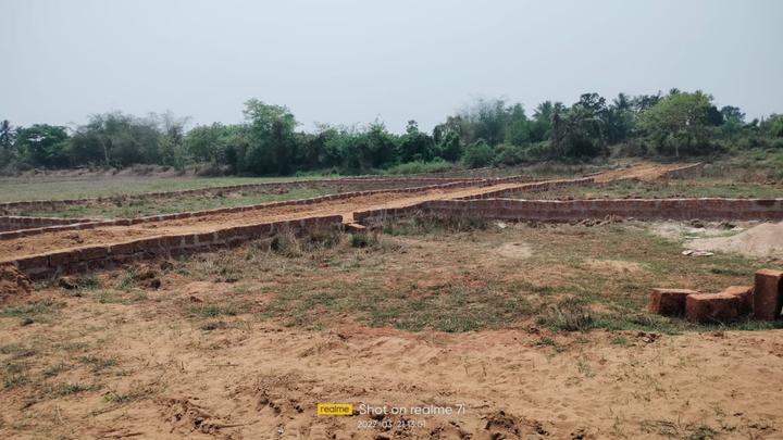 Balianta Main Image 1