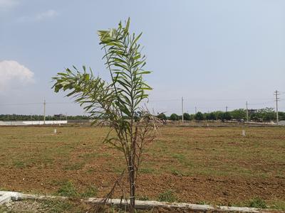 Image of 1503 Sq.ft Residential Plot / Land for sale in Sarika, Vizianagaram for Rs. 2500000