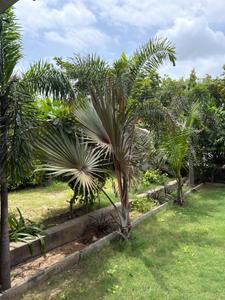 Image of 4280 Sq.ft Residential Plot / Land for sale in Ghuma, Ahmedabad for Rs. 44000000