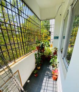 Balcony Image of 1250 Sq.ft 2 BHK Apartment / Flat for rent in Velachery Chennai for Rs. 30000