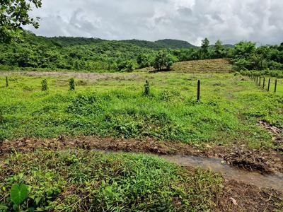 Image of 60000 Sq.ft Residential Plot / Land for sale in Pernem Rural, Goa for Rs. 600000000