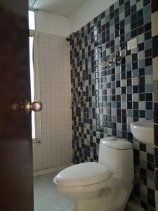 Common Bathroom Image of 1055 Sq.ft 2 BHK Apartment / Flat for sale in Divyansh Flora, Noida Extension Greater Noida for Rs. 8333000