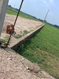 Barai Plot View 1