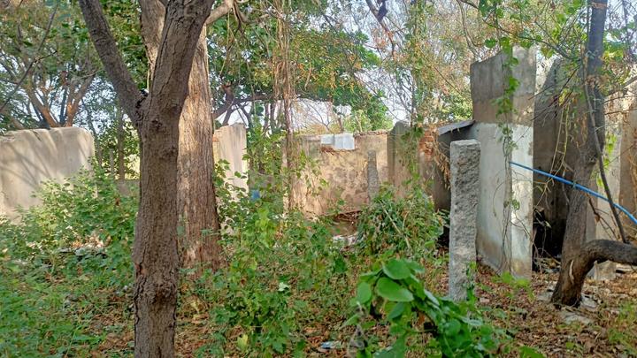 ROYAL RAJPUTANA CO Main Image 1