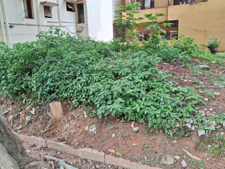 Lakshmi Layout, Arakere Main Image 1