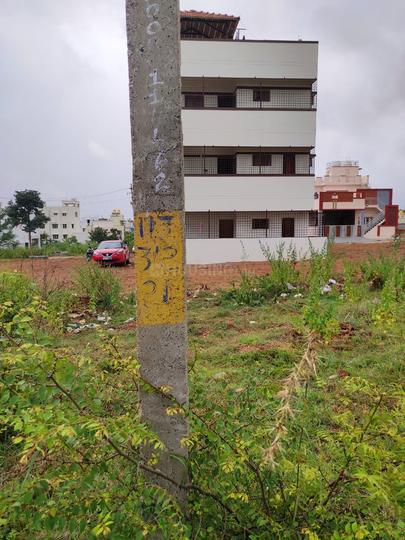 Hanchya Main Image 1