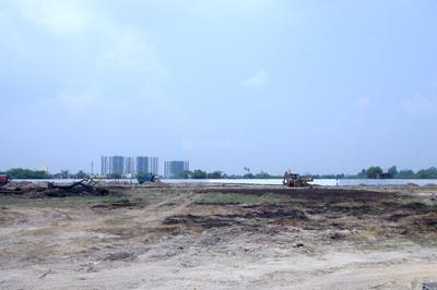 Plot View