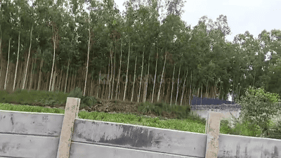 Image of 3024 Sq.ft Residential Plot / Land for sale in Garh Mukteshwar, Hapur for Rs. 12500000