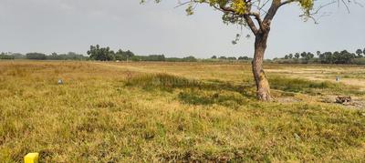 Image of 800 Sq.ft Residential Plot / Land for sale in Arakkonam, Ranipet for Rs. 318000