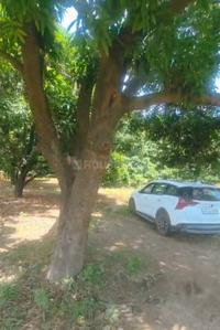 Image of 15828 Sq.ft Residential Plot / Land for sale in Garh Mukteshwar, Hapur for Rs. 40000000
