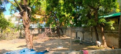 Image of 2574 Sq.ft Residential Plot / Land for sale in Neelankarai, Chennai for Rs. 40000000