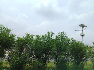 Image of 550 Sq.ft Residential Plot / Land for sale in XU III, Greater Noida for Rs. 41250000