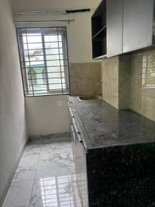 Kitchen Image of 1252 Sq.ft 2 BHK Apartment / Flat for rent in Old Palasia Indore for Rs. 25000