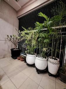 Balcony Image of 1000 Sq.ft 2 BHK Apartment / Flat for sale in Prestige Park Square, Gottigere Bengaluru for Rs. 22500000
