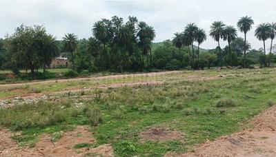 Image of 2000 Sq.ft Residential Plot / Land for sale in Toria Mohalla, Chhatarpur for Rs. 3600000