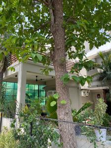 Image of 2630 Sq.ft 3 BHK Independent House for sale in Bopal, Ahmedabad for Rs. 31000000