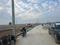 Paradise Residential Plots Yamuna Expressway Greater Noida Main Image 1
