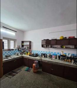 Kitchen Image of 1341 Sq.ft 2.5 BHK Apartment / Flat for rent in Pattom Thiruvananthapuram for Rs. 17500