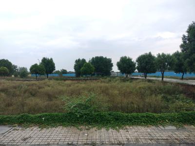 Image of 1080 Sq.ft Residential Plot / Land for sale in Soha Neal City, Sector 98, Faridabad for Rs. 15000000