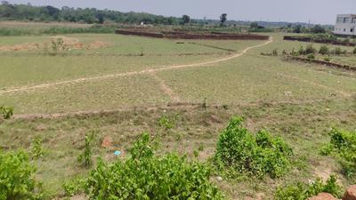 Image of 2000 Sq.ft Residential Plot / Land for sale in Chandaka, Bhubaneswar for Rs. 5000000