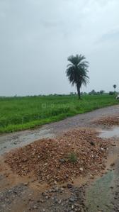 Image of 50 Sq.ft Residential Plot / Land for sale in Silani, Gurgaon for Rs. 750000