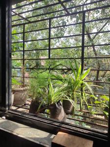 Balcony Image of 300 Sq.ft 1 RK Independent House for rent in Ulhasnagar Thane for Rs. 3000