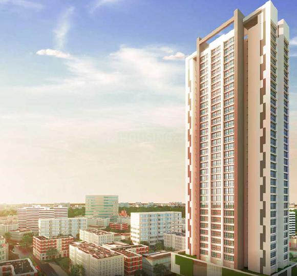 Suraj Vitalis Main Image 1