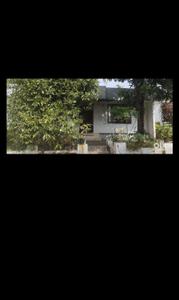 Image of 900 Sq.ft 3 BHK Independent House for sale in Chungam, Kottayam for Rs. 7000000