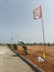 JB Group Plot View 3