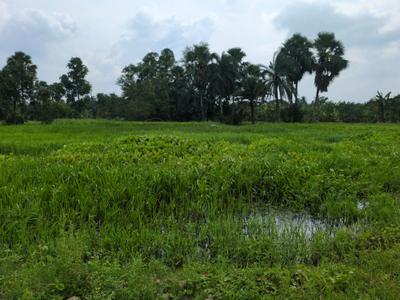 Image of 720 Sq.ft Residential Plot / Land for sale in Joka, Kolkata for Rs. 170007