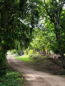 Image of 1089 Sq.ft Residential Plot / Land for sale in Khopate, Raigad for Rs. 350000