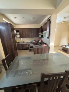 Hall Image of 500 Sq.ft 1 RK Independent House for rent in Sector 26 Noida for Rs. 20000