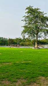 Image of 1800 Sq.ft Residential Plot / Land for sale in Swastik Kalpvriksh, Old Dhamtari Road, Raipur for Rs. 2862000